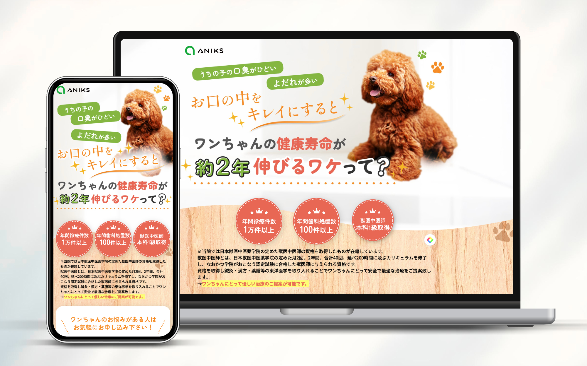 動物病院の制作実績