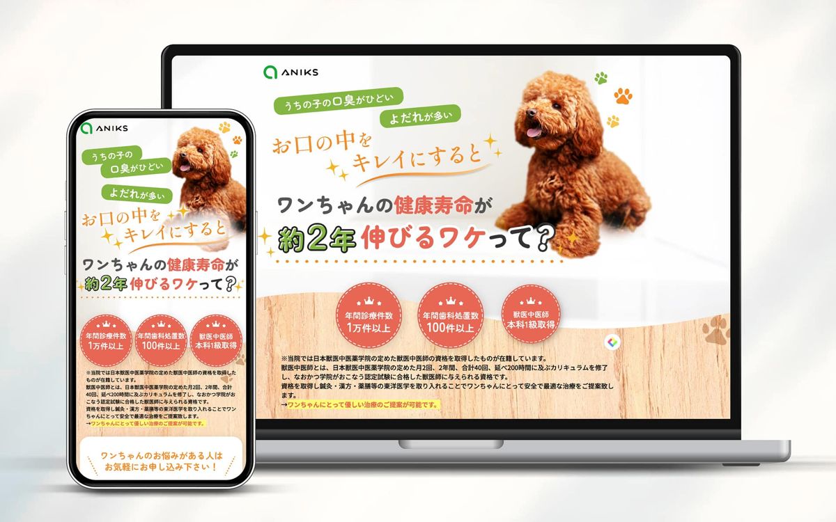 動物病院のLP